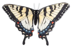 butterfly wings