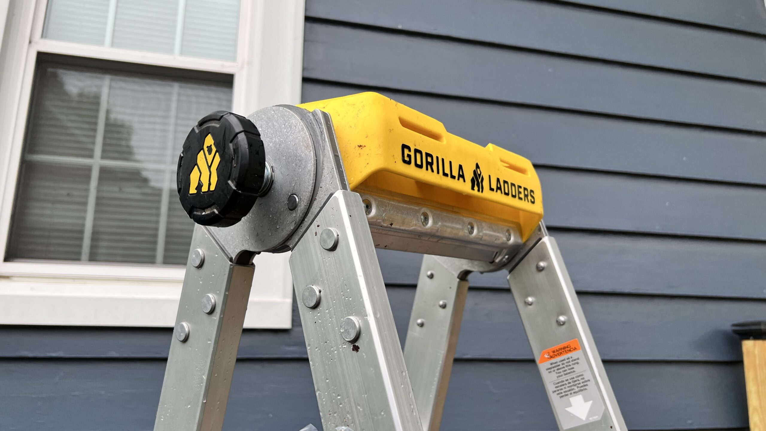 gorilla ladder