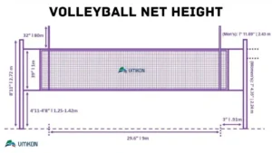volleyball net