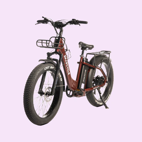 Electric Bikes